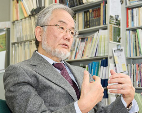 Japan's Ohsumi wins Nobel medicine prize