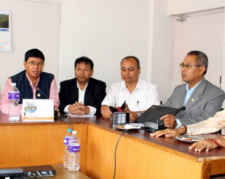 Tharu parties aim for unification