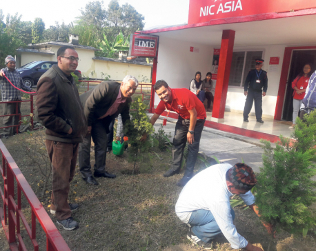 NIC Asia organizes tree plantation