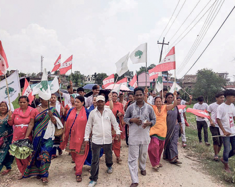 Election fever grips Jitpur, Simara
