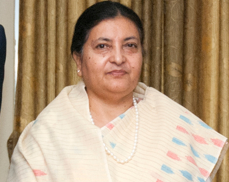President Bhandari appeals for making election a success