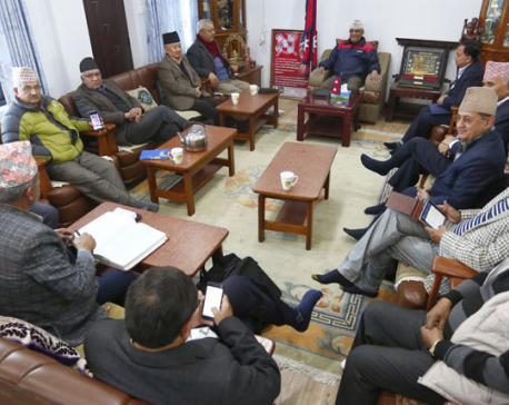 UML tells neighbors not to interfere in Nepal's internal affairs