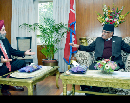 New Indian envoy pays courtesy call on PM