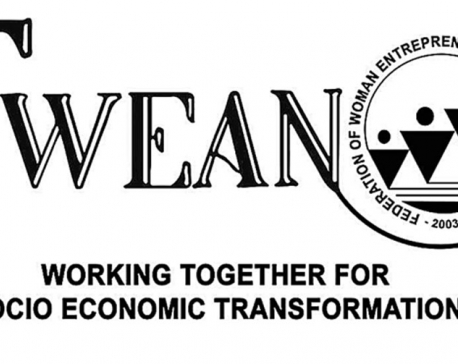 FWEAN seeks more funding for women entrepreneurs