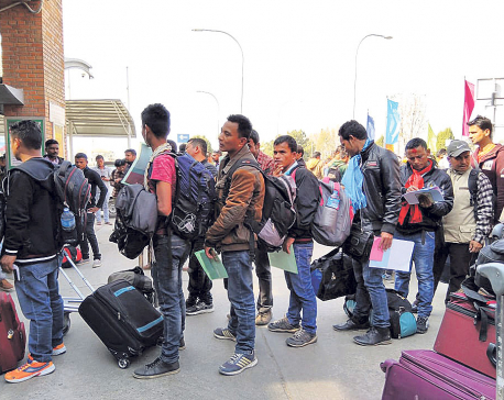 Half of migrant workers going through individual labor approval