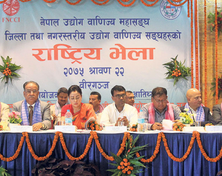 Government committed to creating investment friendly environment: Dahal
