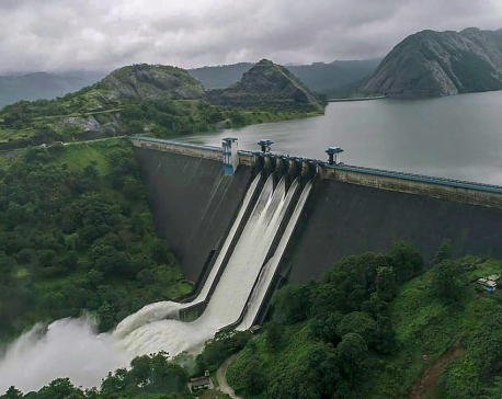 Early release of dam water could have reduced Kerala flood damages, say experts