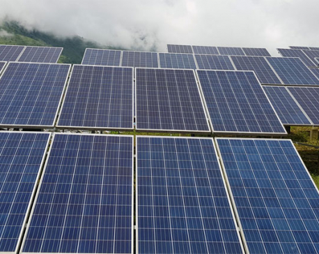 Solar mini grid project illuminates 75 households