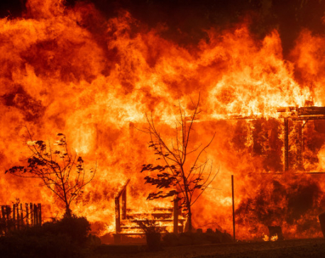 More than 1,000 homes torched in California wildfires