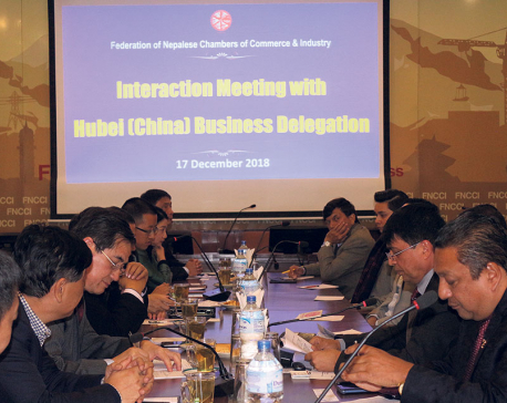 'Hubei province of China willing to invest in Nepal'