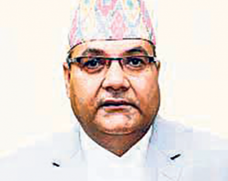 Private media may meet fate of News of the World: Baskota