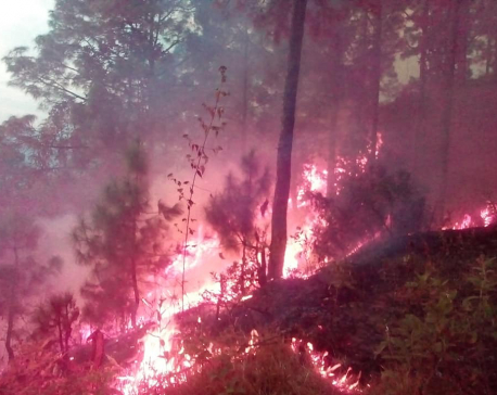 'Wildfire goes out of control in Khotang'