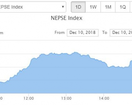 NEPSE index increases double digit