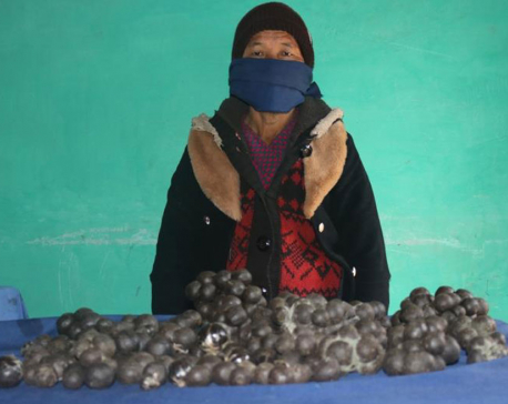 Woman arrested with 5 kg of hashish