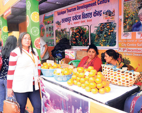 Nepali oranges on display at Kolkata exhibition