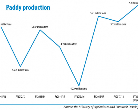 Paddy production seen increasing to 5.4 million tons