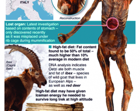 Infographics: Last supper of Oetzi the Iceman