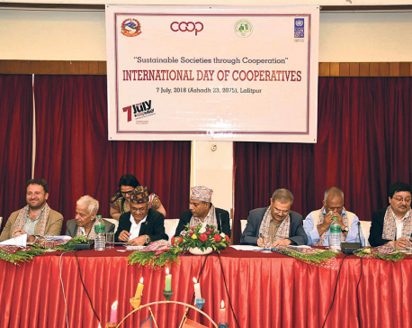 Cooperatives’ contribution in achieving SDGs underlined