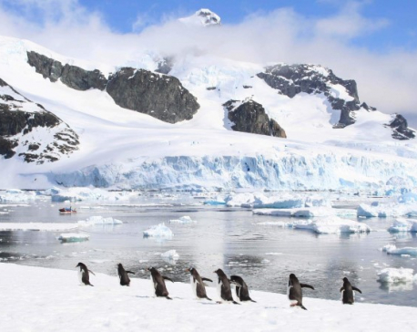 Antarctica is melting faster