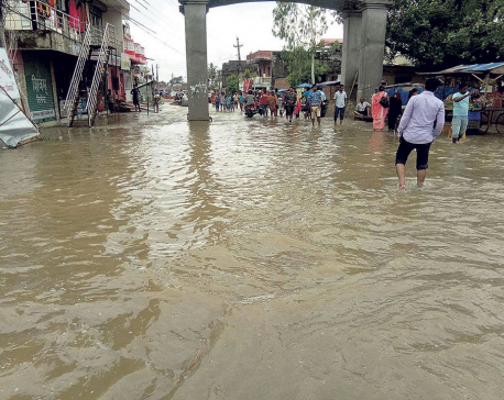 Dozens of Rautahat villages at high risk of floods