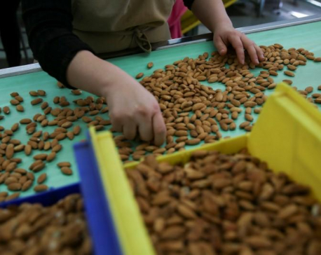 India slaps higher duties on U.S. almonds