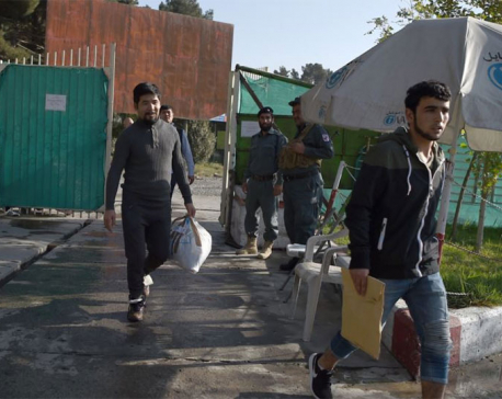 Germany deports largest group yet of failed Afghan asylum seekers