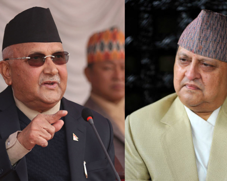 No power can subvert democratic political system: PM Oli
