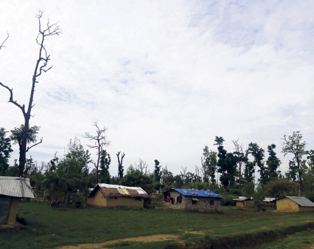 Tikapur Campus fighting to get back its 300 bigha land