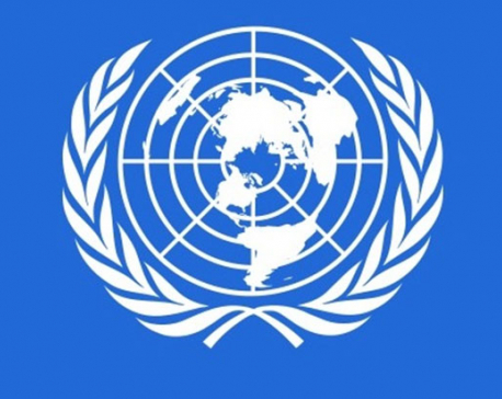 UN doing study on political issues without govt nod