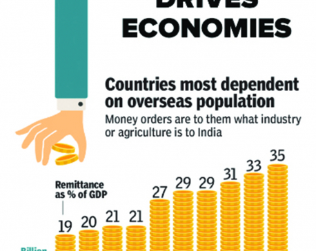 Infographics: How diaspora drives economies
