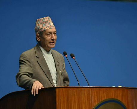 Fin. Min urges Nepali diaspora for investments