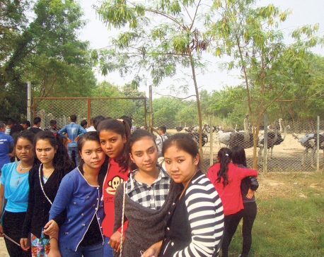 Agro sector attracting tourists in Rupandehi