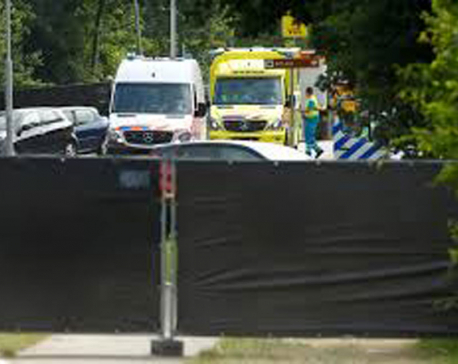 Van kills one at Dutch music festival, driver turns himself in