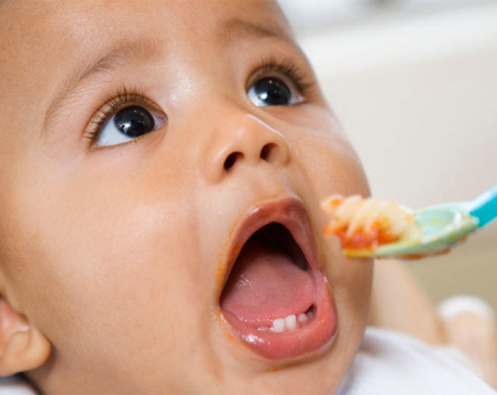Meat-based diet, dairy added during transition to solids helps infants grow
