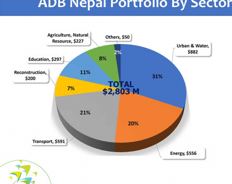 More funds depend on progress in project performance: ADB official
