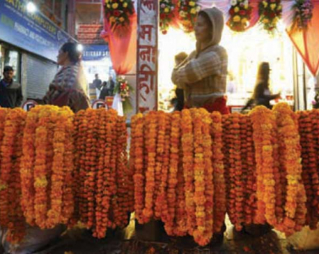 Flowers and fruits of Tihar