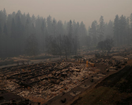 Ferocious winds whip California fires as death toll rises to 31