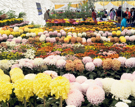 Nepal becoming self-reliant in flowers: Import of flowers on a slump this Tihar