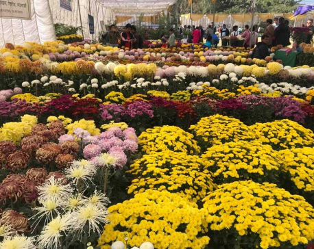 Godavari Flower Expo 2018 kicks off