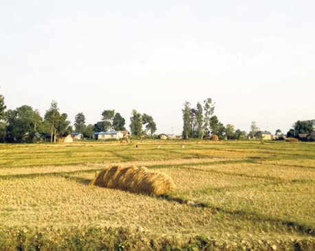 No land ownership certificate in village of 109 households