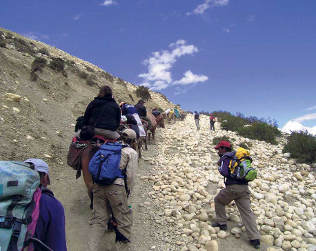 Amid lockdown, 145 stranded trekkers rescued from Mustang
