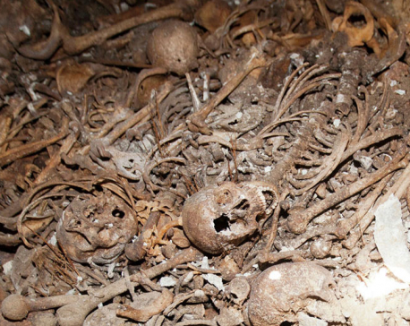 Man travelling with 50 human skeletons arrested in India
