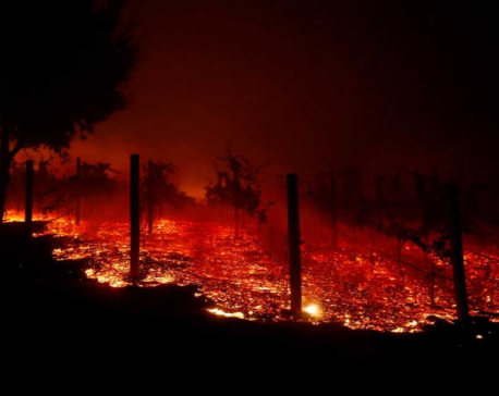 Wildfires rage in California, Trump blames 'forest mismanagement'