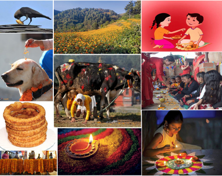 Tihar festival begins from today