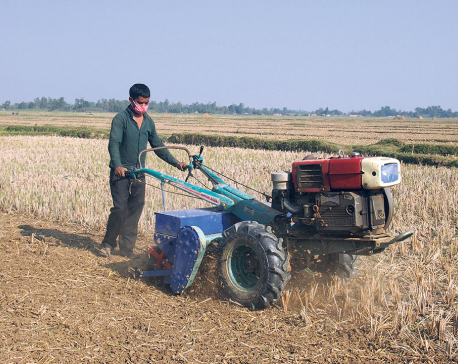 Bhaktapur farmers face fertilizer shortage