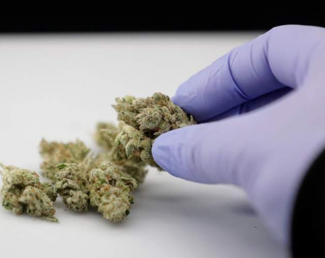 Canada to pardon pot possession as it legalizes marijuana