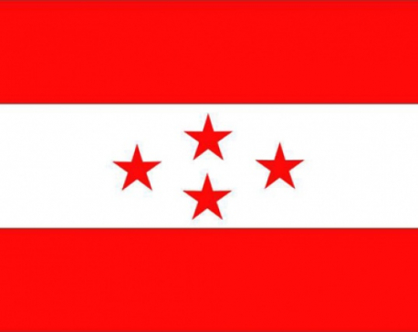 NC suspends party rules to appoint Gachchhadar as vice-president