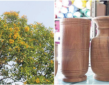 Vijayasar vases gaining popularity