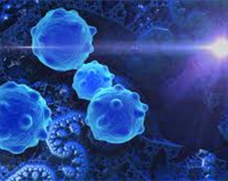 Aggressive breast cancer cells hijack natural stress protector to thrive