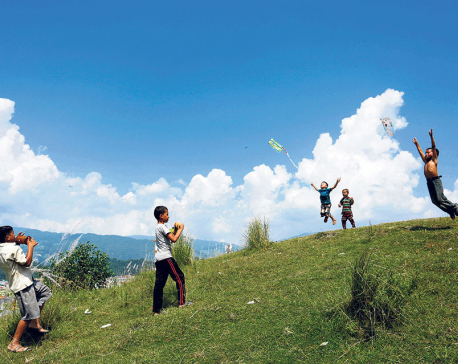 I spy a kite in the Dashain sky
